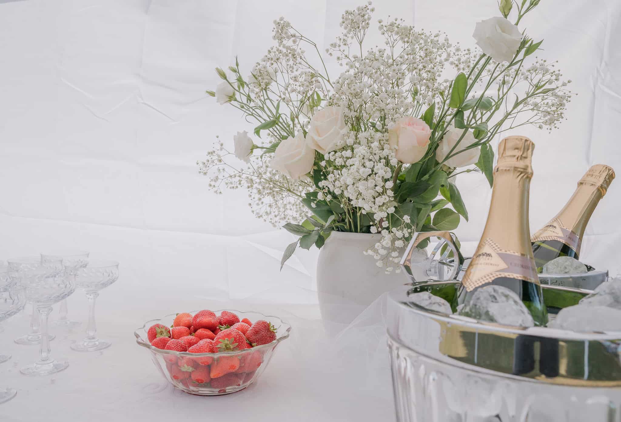 fotograf til bryllup nordjylland